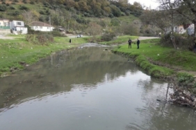 Eyüpsultan’daki gölde balık ölümleri yaşandı