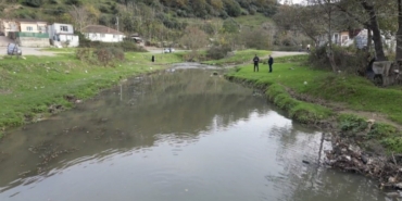 Eyüpsultan’daki gölde balık ölümleri yaşandı