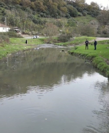 Eyüpsultan’daki gölde balık ölümleri yaşandı