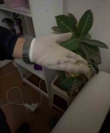 Satışa hazır hale getirilen uyuşturucuları jandarma yakaladı: 1 tutuklama