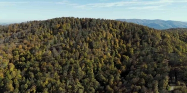 Biga’da sonbahar renklerine bürünen ormanlar havadan görüntülendi