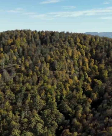 Biga’da sonbahar renklerine bürünen ormanlar havadan görüntülendi
