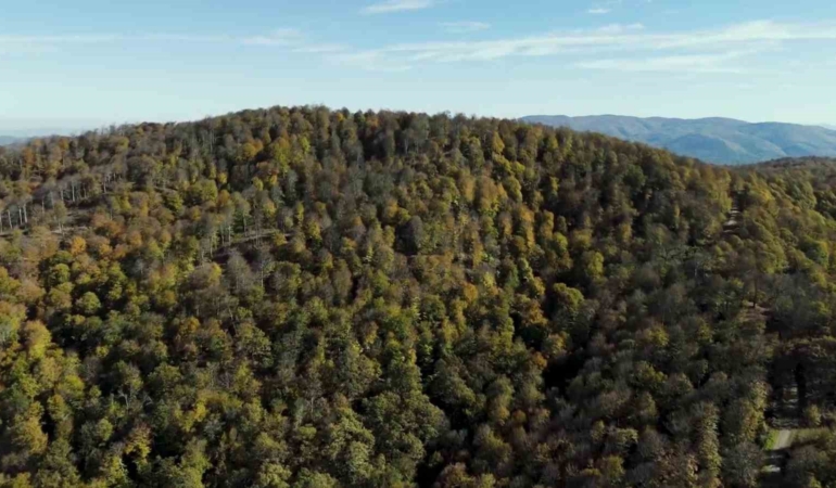 Biga’da sonbahar renklerine bürünen ormanlar havadan görüntülendi