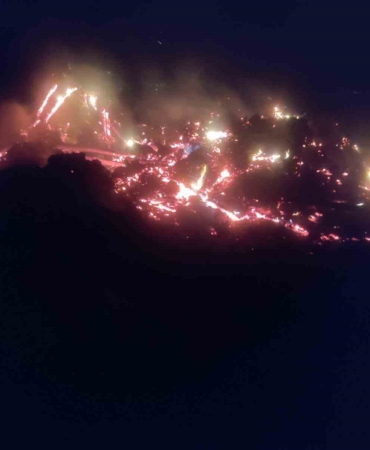 Bilecik’te çürümüş ağaç ve kökler yakılırken alevler kontrolden çıktı