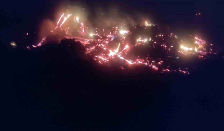 Bilecik’te çürümüş ağaç ve kökler yakılırken alevler kontrolden çıktı