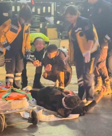 Kaçan sürücü polis aracına çarptı: 2 yaralı