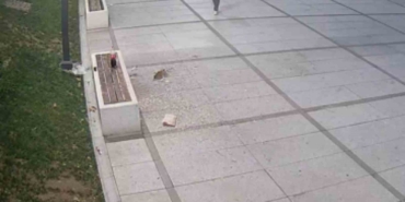 Çekirdek keyfi pahalıya patladı