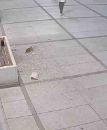 Çekirdek keyfi pahalıya patladı