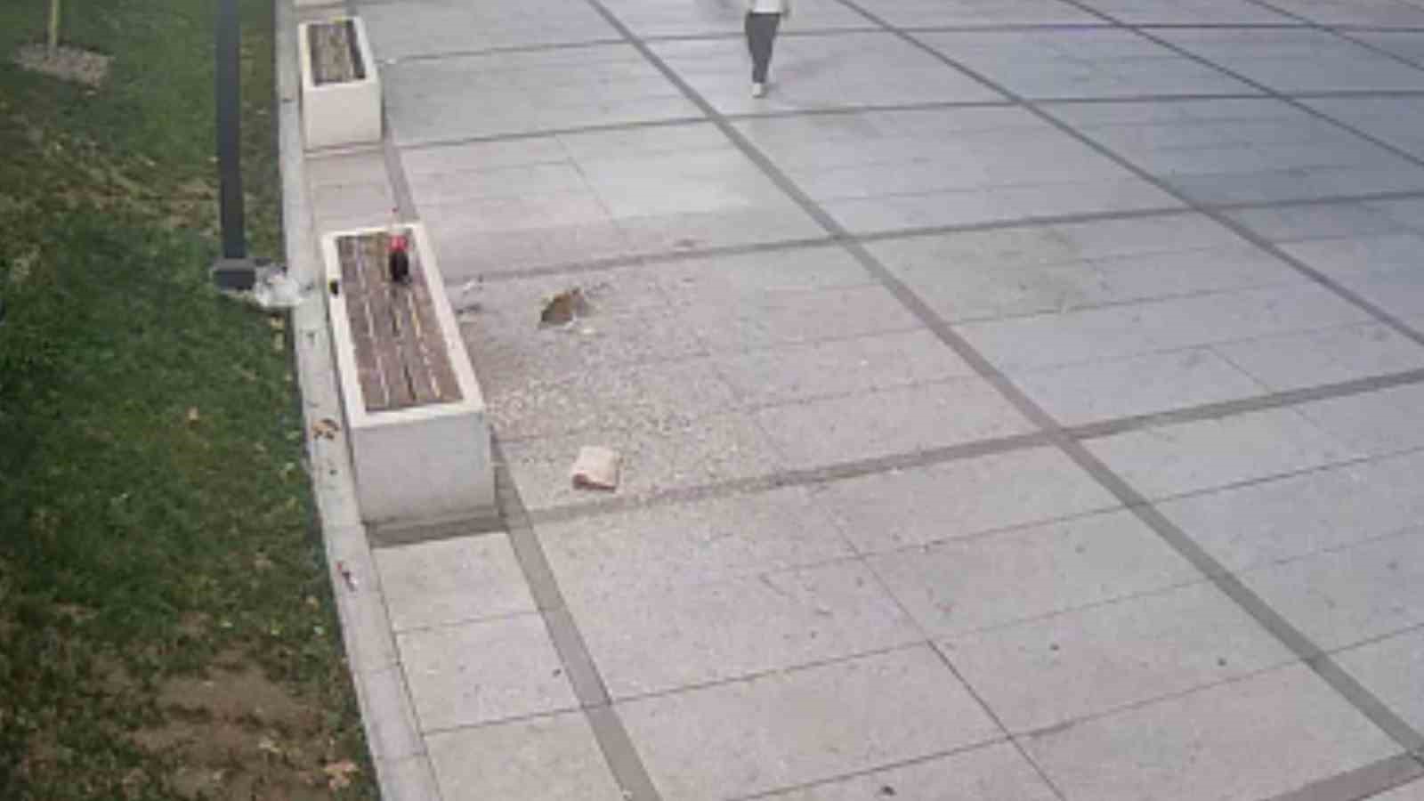 Çekirdek keyfi pahalıya patladı