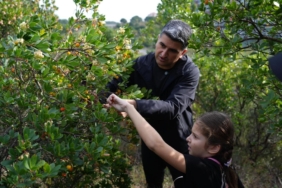 Ataşehir’de 438 metre yükseklikte çilek festivaline akın ettiler