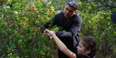 Ataşehir’de 438 metre yükseklikte çilek festivaline akın ettiler