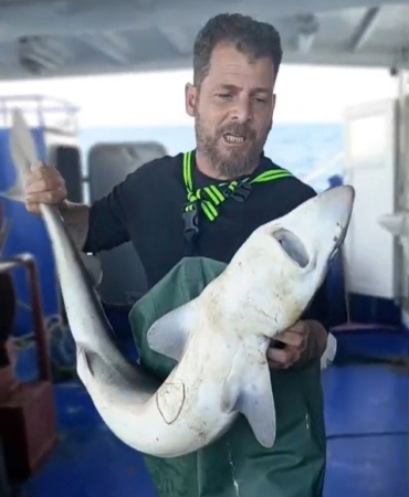 Ağa takılan köpekbalığı denize bırakıldı