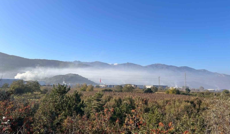 Kestel ve Gürsu’da çevre faciası: "Filtreler çalıştırılmıyor, Bursalıların sağlığı hiçe sayılıyor" iddiası