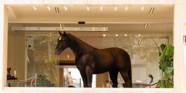 Espressolab, Jurassic Park teknolojisini şehirle buluşturdu