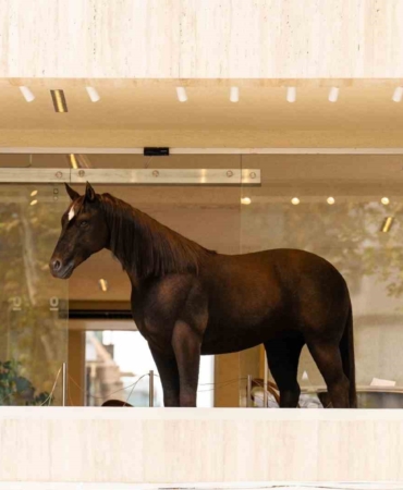 Espressolab, Jurassic Park teknolojisini şehirle buluşturdu