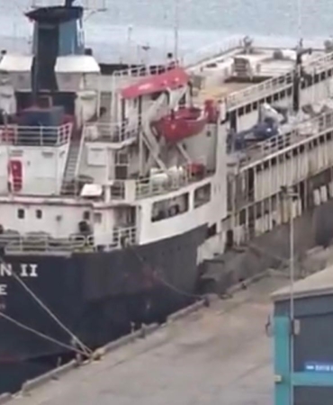 Susuzluktan boru yalayan inekler