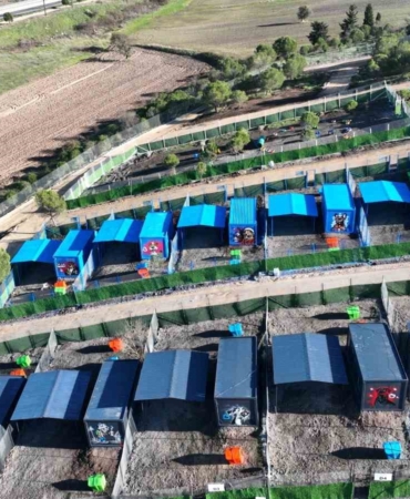 Türkiye’de ilk defa özel can dostlara sıcak yuva Balıkesir’de