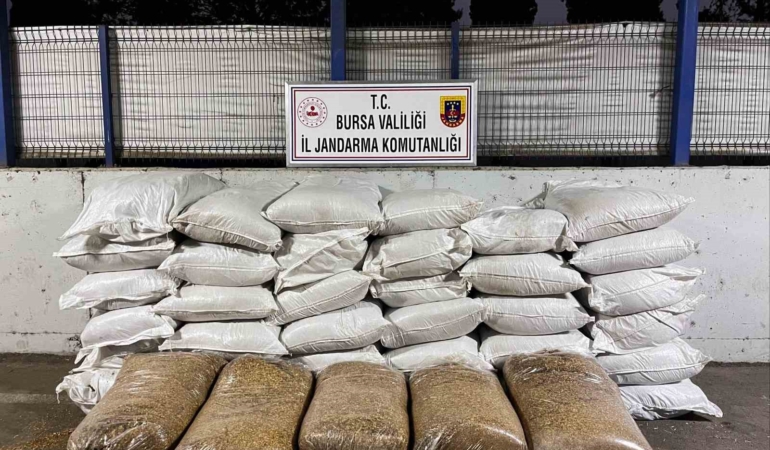 Jandarmadan kaçak sigara operasyonu