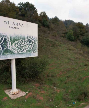 Ormana tabela asıp milyonlar topladılar