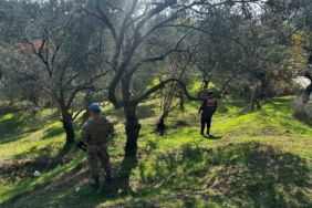 Edremit’te zeytin hırsızlığına karşı komandolar sahada