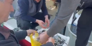 Kasasını 200 liraya alıp, tezgahta kilosunu 200 liraya satan esnaf, balıkçılar tarafından protesto edildi