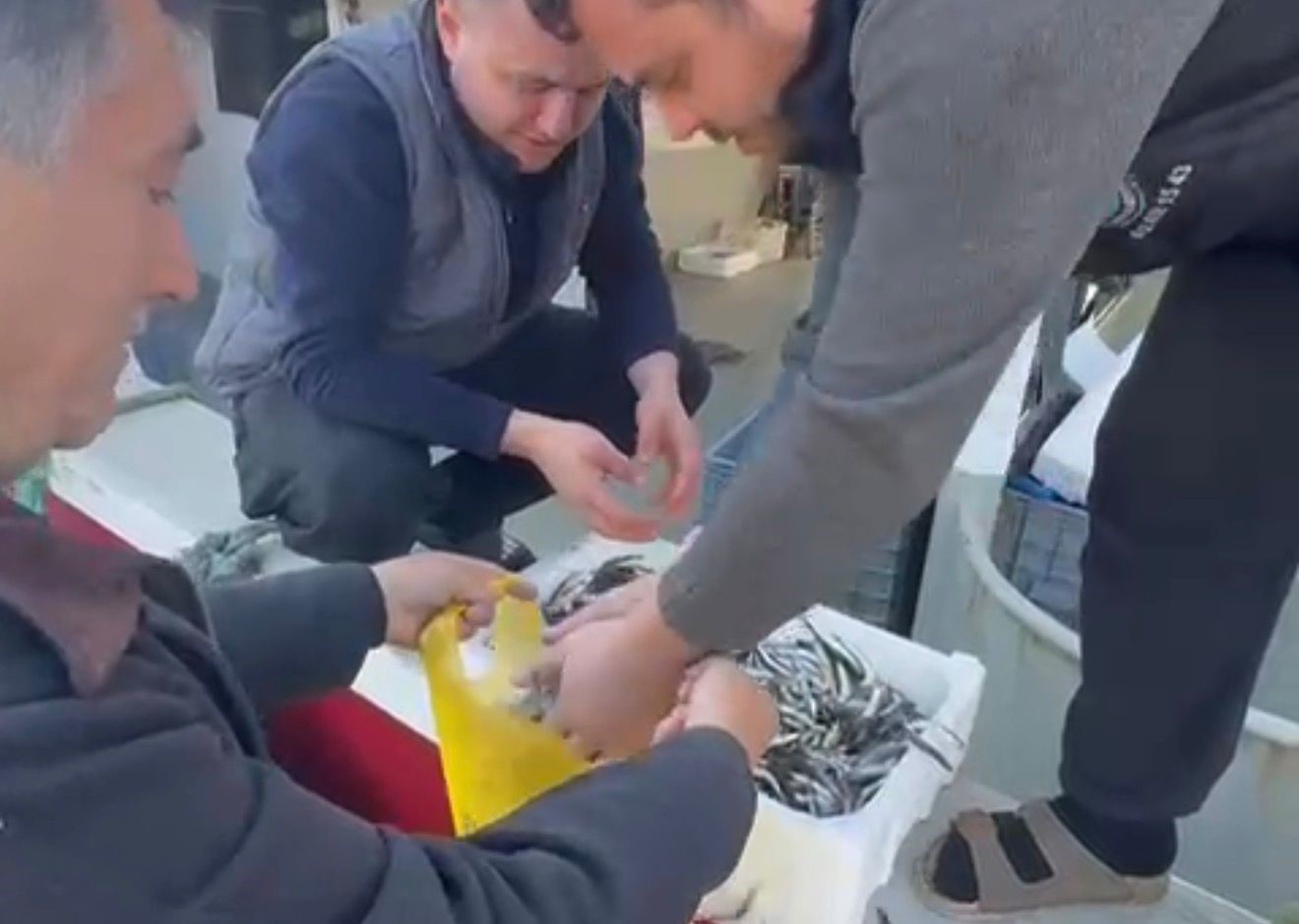 Kasasını 200 liraya alıp, tezgahta kilosunu 200 liraya satan esnaf, balıkçılar tarafından protesto edildi