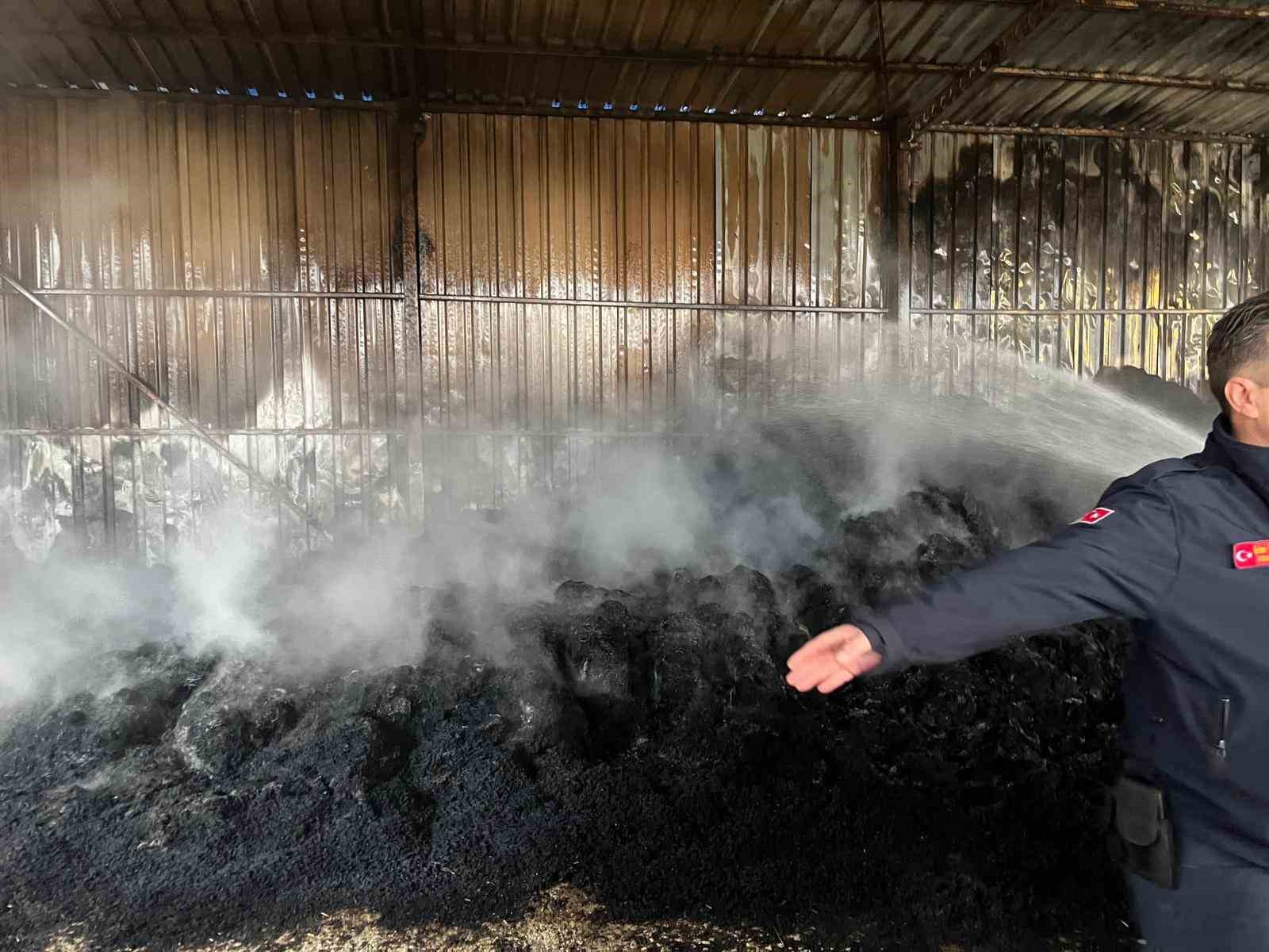 Keşan’da çıkan yangında bin saman balyası yandı