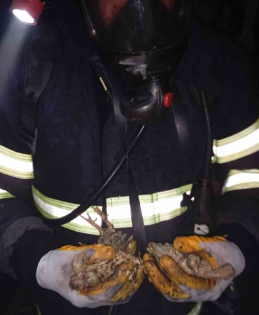 Balıkesir’de 5 bin piliç yangında telef oldu