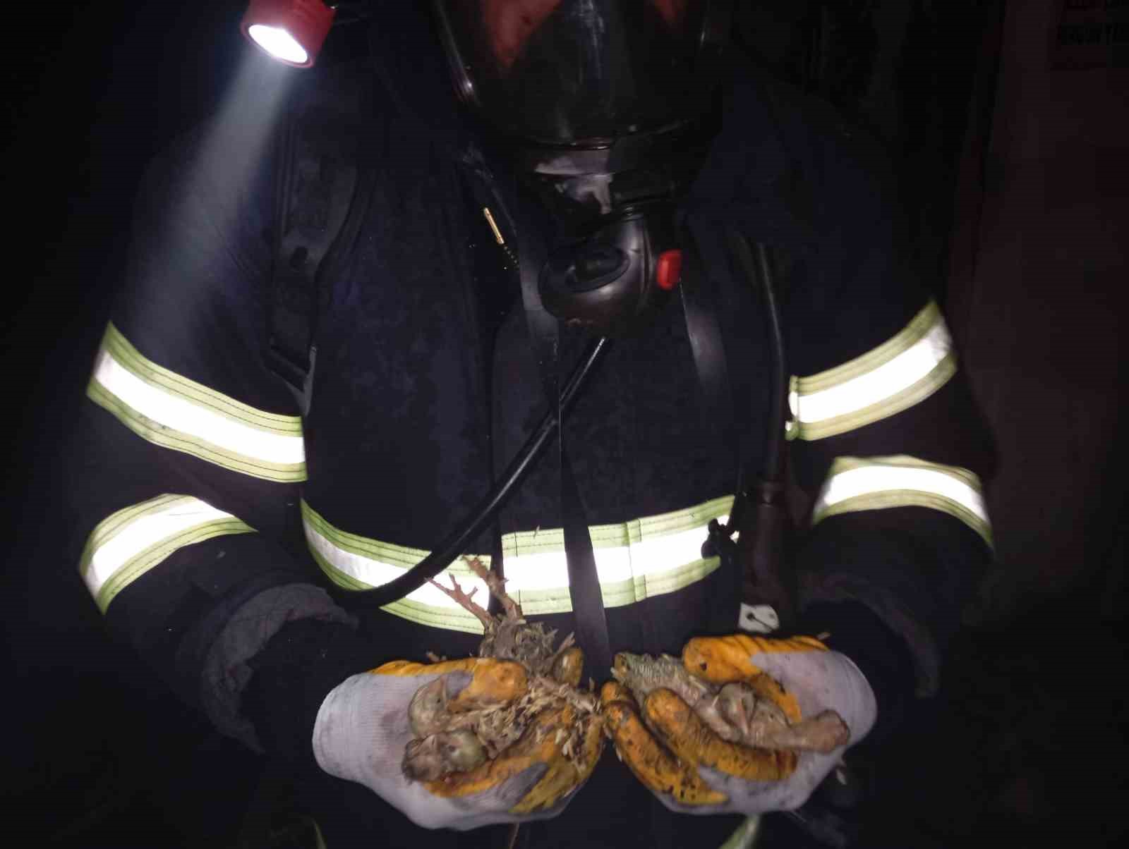 Balıkesir’de 5 bin piliç yangında telef oldu