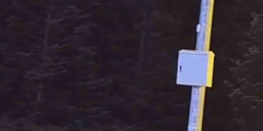 Uludağ’da kış uykusuna yatmayan ayılar, çöp konteynerlerini talan etti