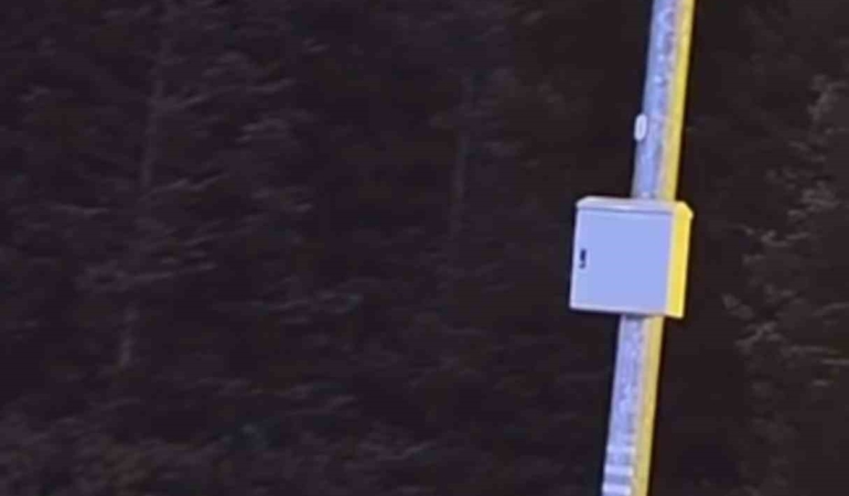 Uludağ’da kış uykusuna yatmayan ayılar, çöp konteynerlerini talan etti