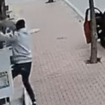 Balkona tırmanıp cins kediyi çaldı