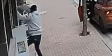 Balkona tırmanıp cins kediyi çaldı