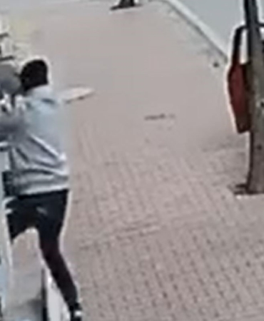 Balkona tırmanıp cins kediyi çaldı