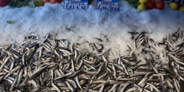 Hamsi fiyatı yüzleri güldürdü, kilosu 60 liraya düştü