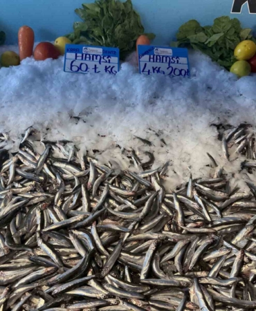 Hamsi fiyatı yüzleri güldürdü, kilosu 60 liraya düştü