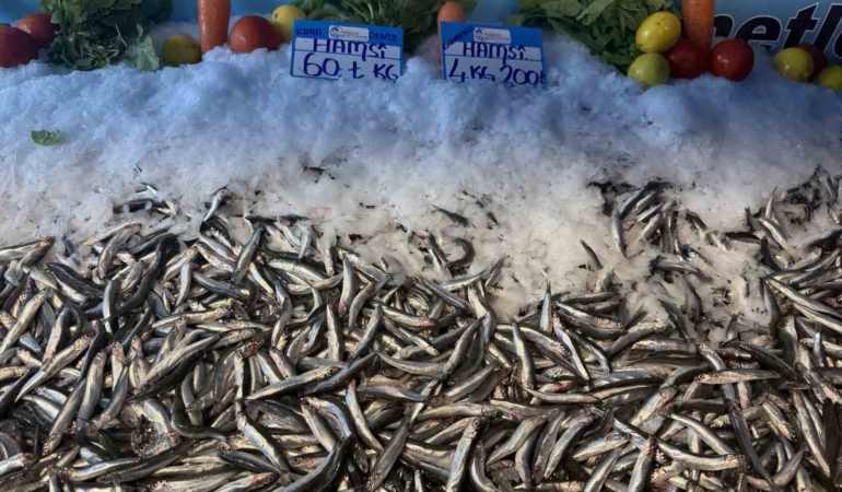 Hamsi fiyatı yüzleri güldürdü, kilosu 60 liraya düştü
