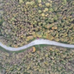 Yalova ormanlarında sonbahar güzelliği
