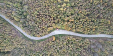 Yalova ormanlarında sonbahar güzelliği