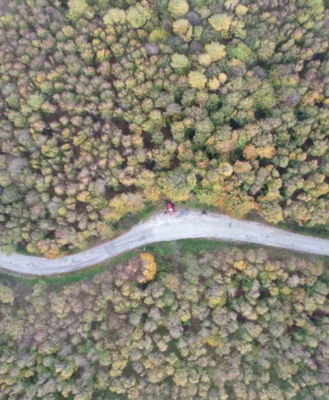 Yalova ormanlarında sonbahar güzelliği