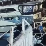 Pendik Marina’da denize düşüp pervaneye takılan adam feci şekilde hayatını kaybetti