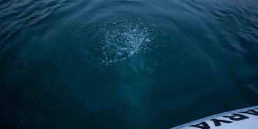 Sapanca Gölü’ndeki kabarcıkların verdiği endişe artıyor: "Herkes korkuyor, rahat uyuyamıyoruz"