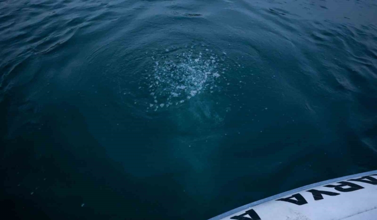 Sapanca Gölü’ndeki kabarcıkların verdiği endişe artıyor: "Herkes korkuyor, rahat uyuyamıyoruz"