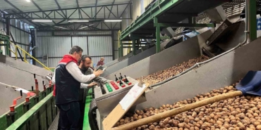 Tekirdağ’da ceviz ekim alanları genişliyor