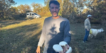 Yağışlar sonrası ormanlarda mantar patlaması yaşandı