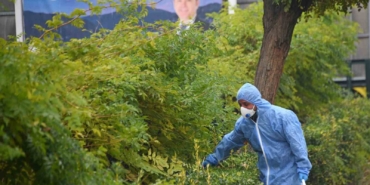 Osmangazi’de kemirgenlere karşı ilaçlama çalışması başlatıldı