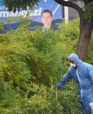 Osmangazi’de kemirgenlere karşı ilaçlama çalışması başlatıldı