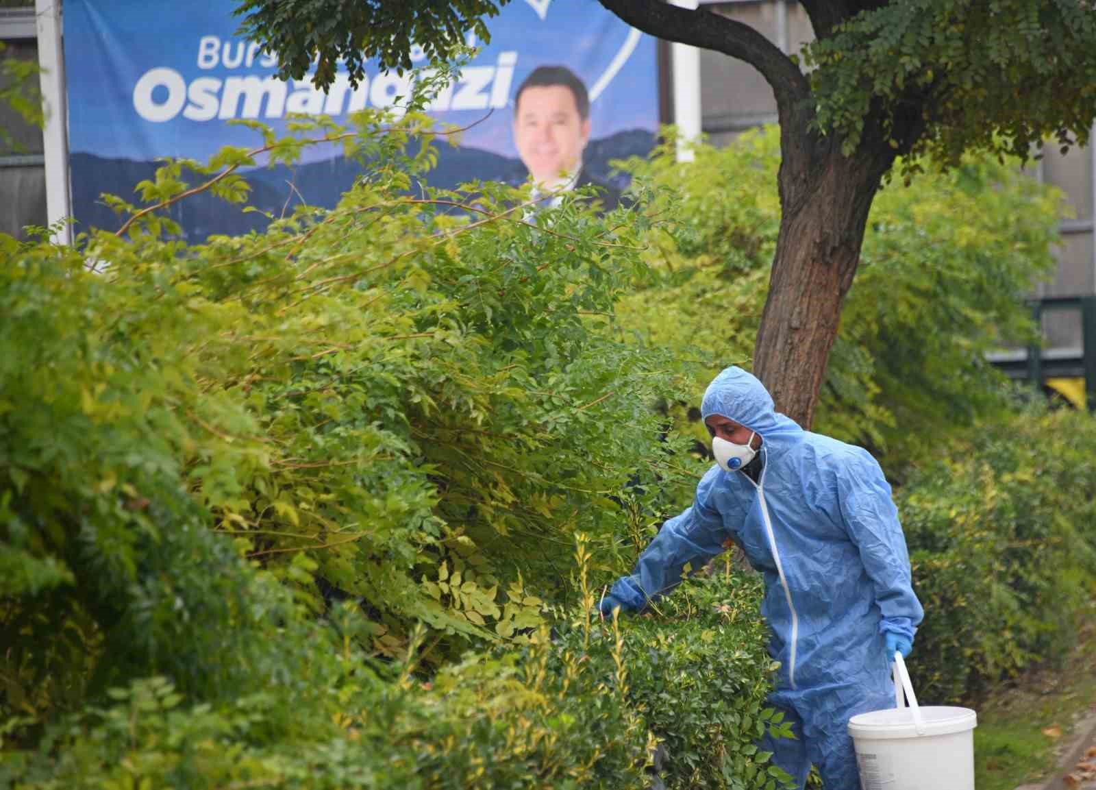 Osmangazi’de kemirgenlere karşı ilaçlama çalışması başlatıldı
