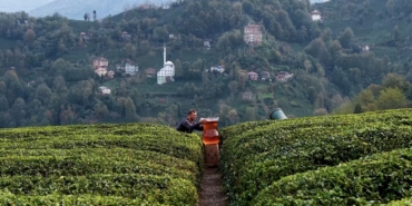 Rize’de dev çay bardağıyla yapılan çekim olay oldu: İzleyenler yapay zeka sandı