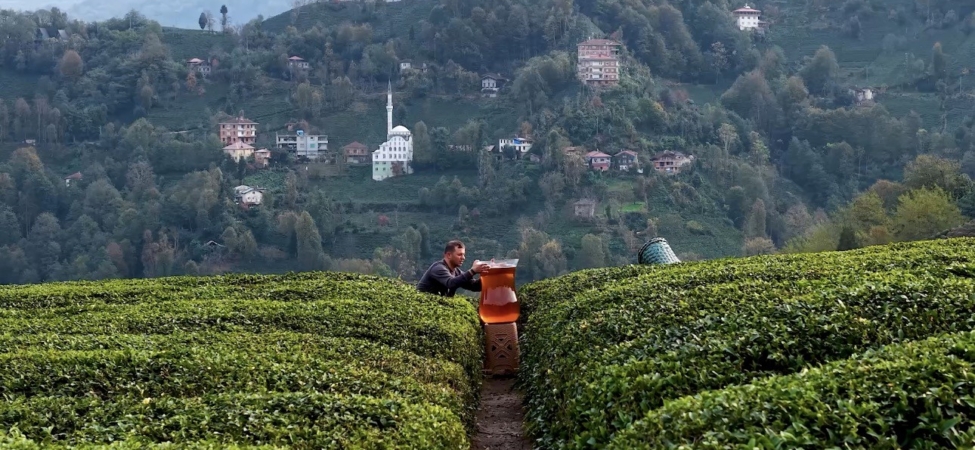 Rize’de dev çay bardağıyla yapılan çekim olay oldu: İzleyenler yapay zeka sandı
